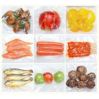 Вакууматор Freshpack Pro BT 01
