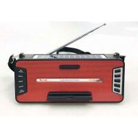 Портативная Bluetooth-колонка GOLON RX-S2618BTS с солнечной панелью, FM, USB, SD и подставкой для телефона