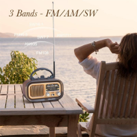 Радиоприёмник GOLON RX-BT628S с Bluetooth, USB, SD, съёмным аккумулятором и солнечной панелью