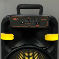 Беспроводная караоке-колонка ZQS10102 с двумя микрофонами, пультом и RGB-подсветкой, 20W, 44*30*24см