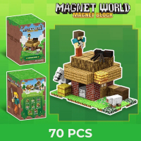 Магнитный конструктор "Magnet World" T9907, 70 деталей (локация "Дом")