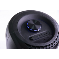 Портативная Bluetooth колонка MS-2048BT 73 см