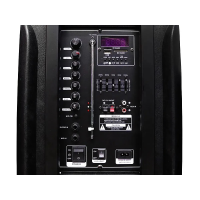 Портативная акустическая колонка ZXX-7575 (60 Вт, 12")