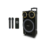 Акустическая переносная колонка ZXX-9191 60Вт 12"