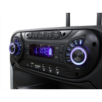 Акустическая переносная колонка ZXX-9393 80Вт 15"