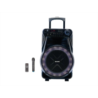 Акустическая переносная колонка ZXX-7171 600Вт 12"