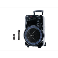 Акустическая переносная колонка ZXX-7171 600Вт 12"