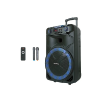 Акустическая переносная колонка ZXX-1011 800Вт 15"