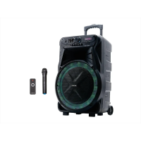 Акустическая переносная колонка ZXX-7272 600Вт 15"