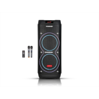 Акустическая переносная колонка ZXX-5560 100Вт 2x10"