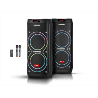 Акустическая переносная колонка ZXX-5560 100Вт 2x10"