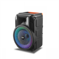 Портативная музыкальная колонка Bluetooth RX-8135W