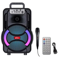 Переносная колонка SPS 8166 BT с микрофоном и FM