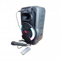 Переносная колонка SPS 8166 BT с микрофоном и FM