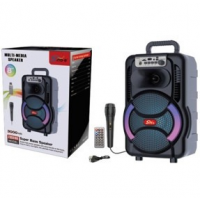 Переносная колонка SPS 8166 BT с микрофоном и FM