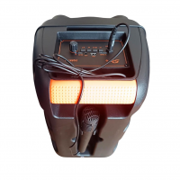 Переносная колонка SPS 8147 BT с микрофоном и FM