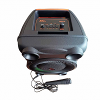 Переносная колонка SPS 8147 BT с микрофоном и FM