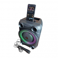 Переносная колонка SPS 8147 BT с микрофоном и FM