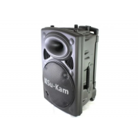 Колонка-чемодан Su-Kam BT 150D+2 микрофона 12v