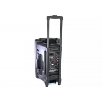 Колонка-чемодан Su-Kam BT 150D+2 микрофона 12v