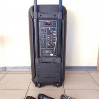 Портативная колонка Su-Kam 1010 + 2 микрофона + BT 12v\220v