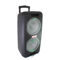 Портативная колонка Su-Kam 1010 + 2 микрофона + BT 12v\220v