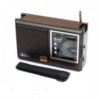 Радиоприемник Golon RX-9933 UAR
