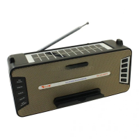 Портативная Bluetooth-колонка GOLON RX-S2618BTS с солнечной панелью, FM, USB, SD и подставкой для телефона
