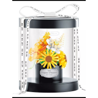 Подарочный набор «Букет под прозрачным куполом» 2362-P