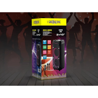 Портативная аккумуляторная акустическая система ZXX-6510, 2×10", 2 микрофона