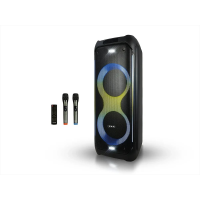 Портативная аккумуляторная акустическая система ZXX-5580, 2×10", 2 микрофона