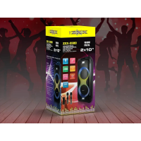 Портативная аккумуляторная акустическая система ZXX-5580, 2×10", 2 микрофона