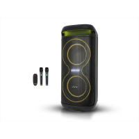 Портативная аккумуляторная акустическая система ZXX-5570, 2×6", 2 микрофона