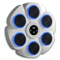 Боксерская мишень DC-14, 6 кнопок, Bluetooth, музыкальный режим