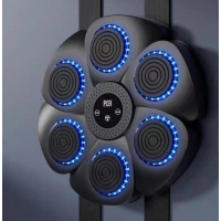 Боксерская мишень DC-14, 6 кнопок, Bluetooth, музыкальный режим
