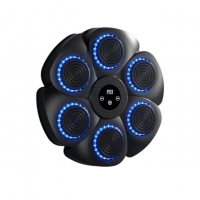 Боксерская мишень DC-14, 6 кнопок, Bluetooth, музыкальный режим