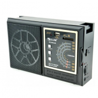 Радиоприемник Golon RX-98UAR, FM, USB/SD, 6 Вт