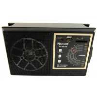 Радиоприемник Golon RX-98UAR, FM, USB/SD, 6 Вт