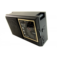Радиоприемник Golon RX-98UAR, FM, USB/SD, 6 Вт
