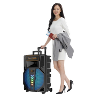 Колонка акустическая ZQS15111, 25 Вт, 15", 2 микрофона