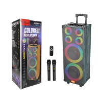 Колонка акустическая ZQS9011L, 2×30 Вт, 2*10", с 2 беспроводными микрофонами