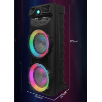 Колонка акустическая ZQS10205, 2×20 Вт, 10"×2, с беспроводным микрофоном Колонка акустическая ZQS10205, 2×20 Вт, 10"×2, с беспроводным микрофоном