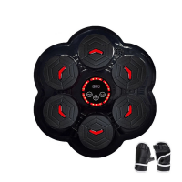 Тренажёр для бокса MRA24-DC-08, 6 ударных зон, Bluetooth