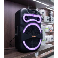 Акустическая система MS-1201BT-W, 50 Вт, с Bluetooth, USB, SD, AUX, FM, с микрофоном