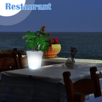 Садовый вазон с подсветкой Garden Light Vase, 4 LED,