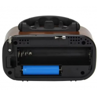 Радиоприёмник GOLON RX-BT638, с аккумулятором, Bluetooth, USB и SD