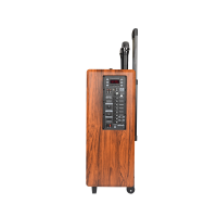 Портативная колонка ART LIVE 12, Bluetooth, USB, FM, караоке, 1200W Портативная колонка ART LIVE 12, Bluetooth, USB, FM, караоке, 1200W