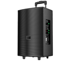 Портативная колонка T2 Pro, Bluetooth, USB, FM, караоке, 1000W