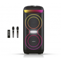 Портативная акустика ZXX-5505, 40 Вт, 2×6,5", Bluetooth, USB, FM, караоке