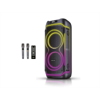 Портативная акустика ZXX-5540, 100 Вт, 2×10", Bluetooth, TWS, USB, TF, FM, караоке